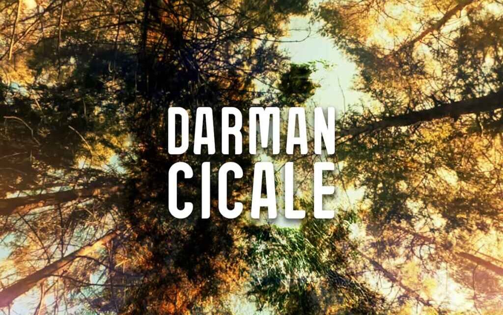 Darman: venerdì 10 novembre esce in radio “Cicale” il nuovo singolo