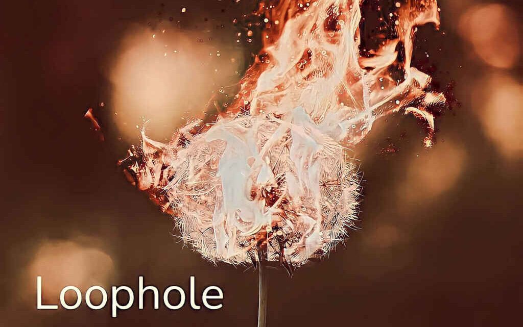 “Loophole” il nuovo singolo della band Fik y las Flores Molestas
