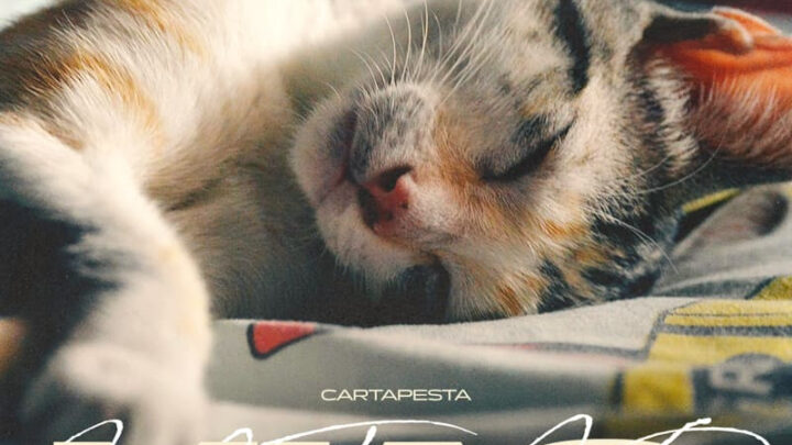 Cartapesta pubblica il nuovo singolo dal titolo Miao! Fuori su tutte le piattaforme digitali da venerdì 19 aprile