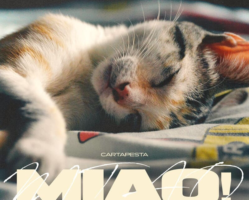 Cartapesta pubblica il nuovo singolo dal titolo Miao! Fuori su tutte le piattaforme digitali da venerdì 19 aprile